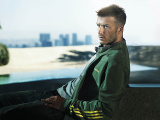 David Beckham фото №464306