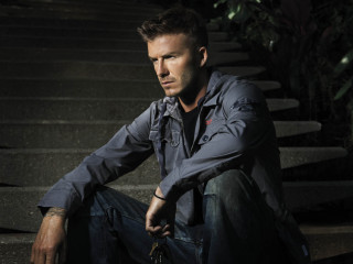 David Beckham фото №464301