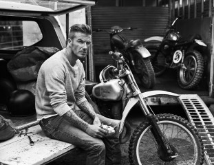 David Beckham фото №565039