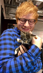 Ed Sheeran - MTV UK in London 01/19/2017 фото №1197394