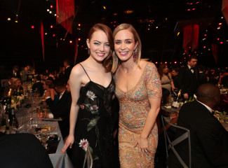 Emma Stone-23rd Annual Screen Actors Guild Awards фото №936917