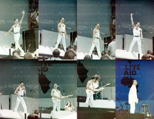 Freddie Mercury фото №730633