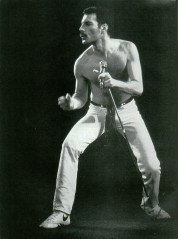 Freddie Mercury фото №241409
