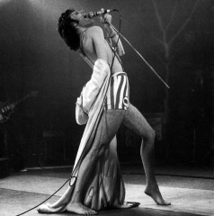 Freddie Mercury фото №724009