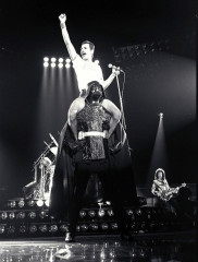 Freddie Mercury фото №728384