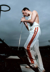 Freddie Mercury фото №746706