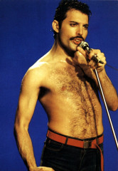 Freddie Mercury фото №728382