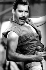 Freddie Mercury фото №729173