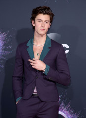 Shawn Mendes - American Music Awards in Los Angeles 11/24/2019 фото №1234371