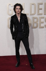 Timothée Chalamet - 81st Annual Golden Globe Awards in Beverly Hills 01/07/2024 фото №1384831