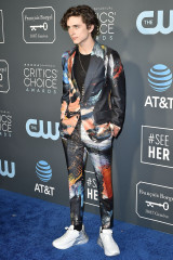 Timothée Chalamet - 24th Annual Critics' Choice Awards in Santa Monica 01/13/19 фото №1321518