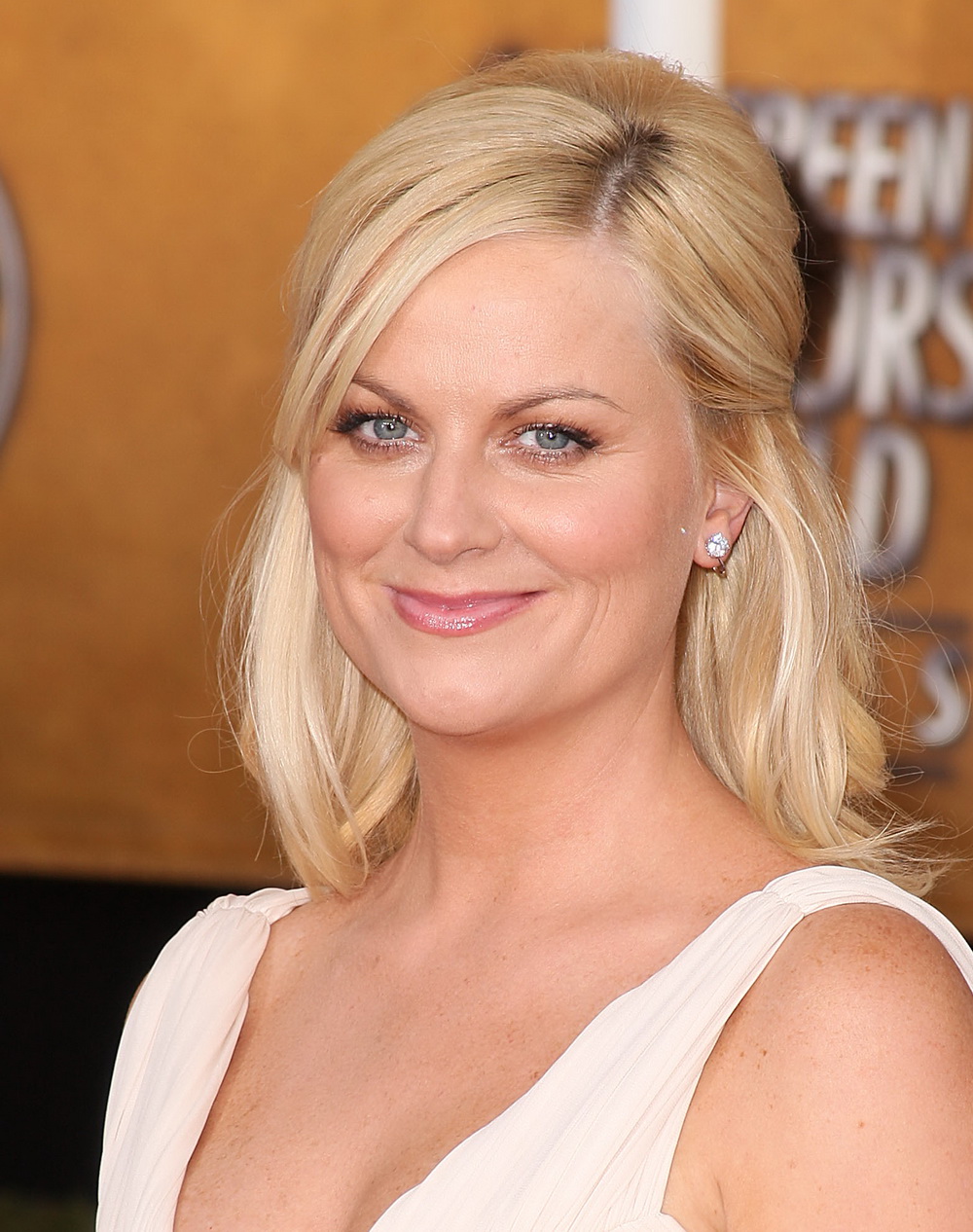 Amy Poehler Fake