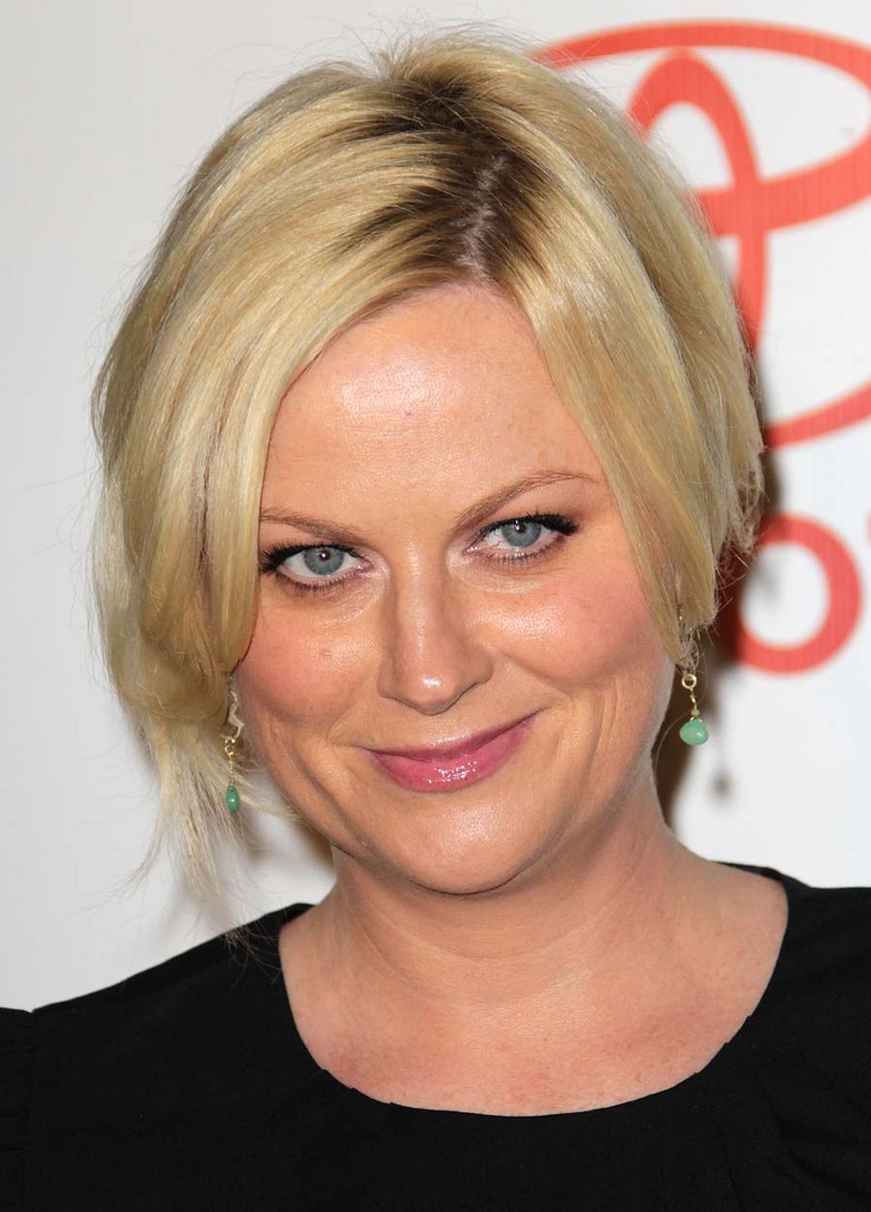 Amy Poehler Fake