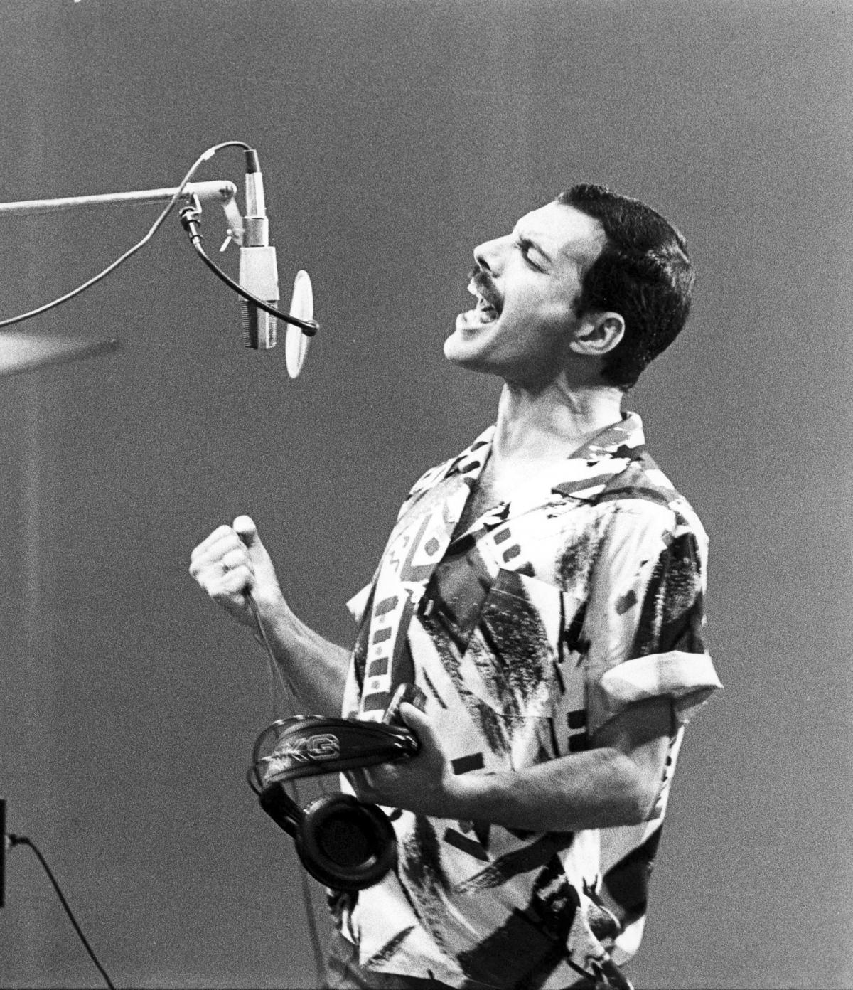 Freddie Mercury