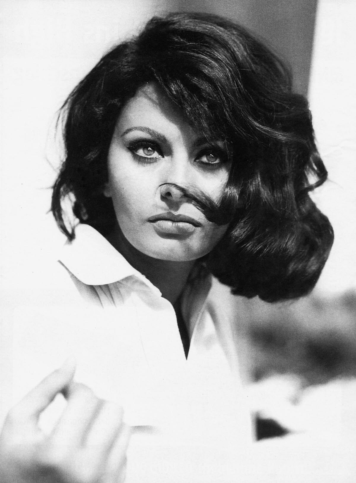 Софи Лорен (Sophia Loren) фото | ThePlace - фотографии знаменитостей