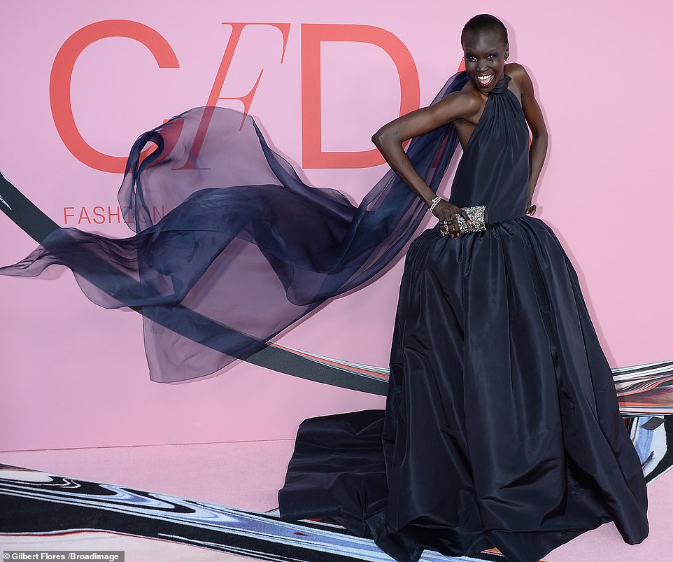 Алек Вик (Alek Wek)