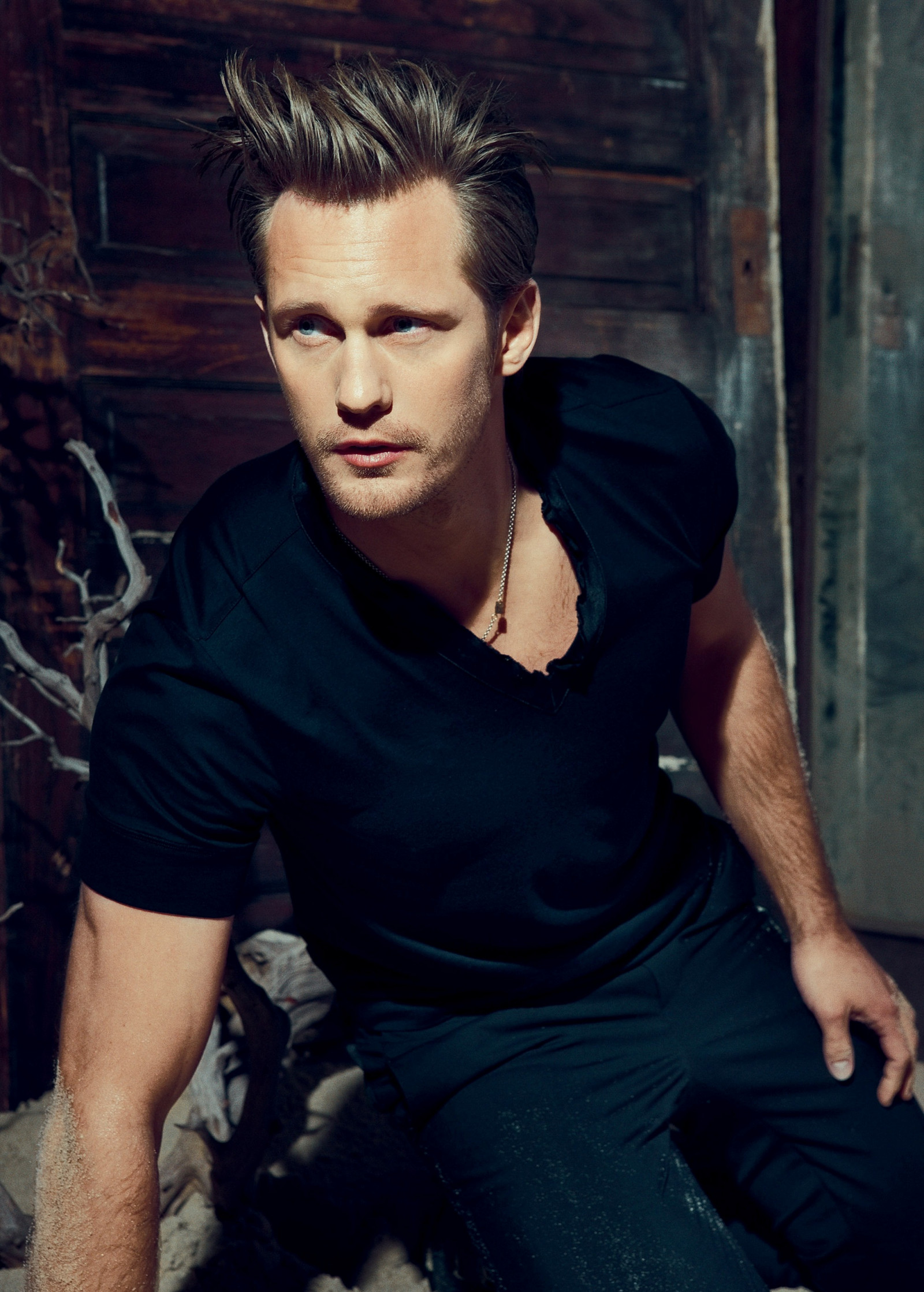 Александр Скарсгард (Alexander Skarsgard)