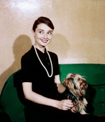 Audrey Hepburn фото №1198211