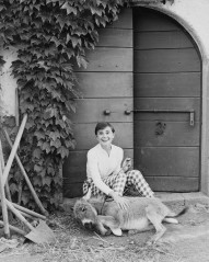 Audrey Hepburn фото №1198200