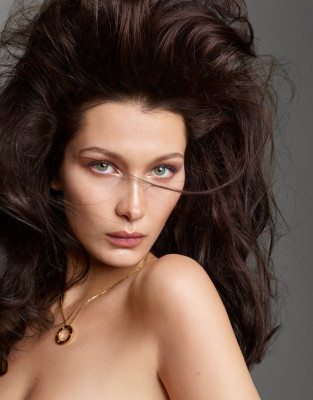 Bella Hadid фото №956328