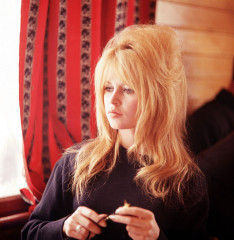 Brigitte Bardot фото №391684