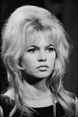 Brigitte Bardot фото №486299