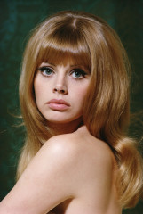 Britt Ekland фото №428105