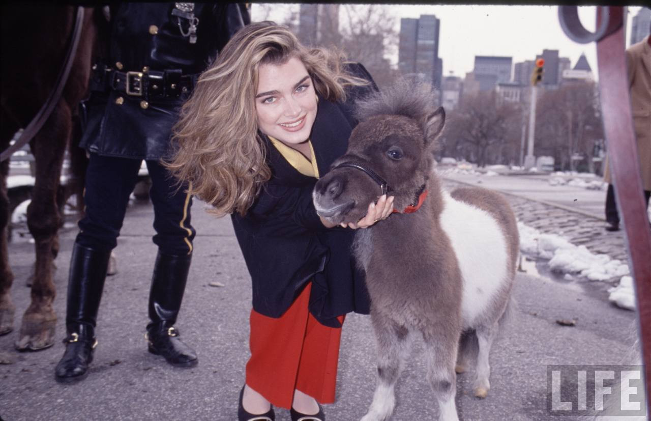 Брук Шилдс (Brooke Shields)