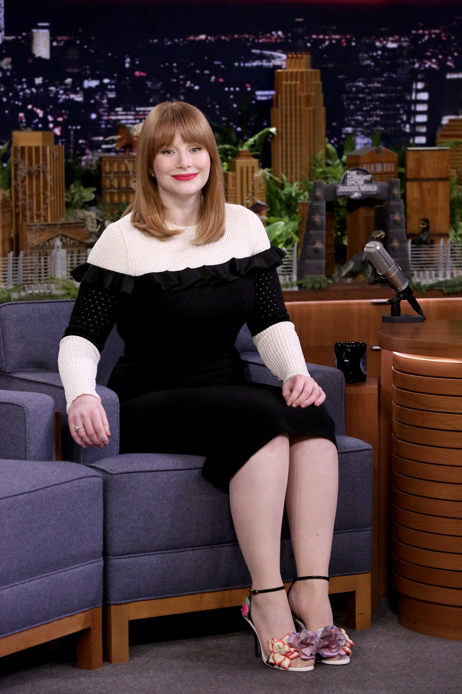 Брайс Даллас Ховард (Bryce Dallas Howard)