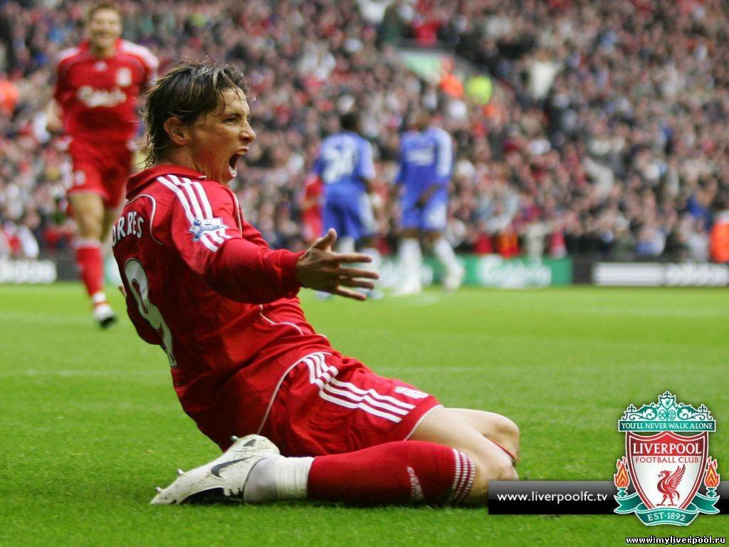 Фернандо Торрес (Fernando Torres)