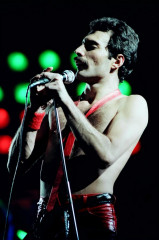 Freddie Mercury фото №718906
