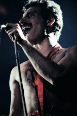 Freddie Mercury фото №718911