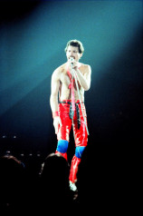 Freddie Mercury фото №718909