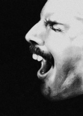 Freddie Mercury фото №712698