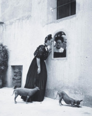 Frida Kahlo фото №332523
