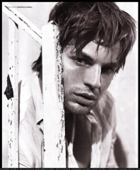 Gale Harold фото №677297