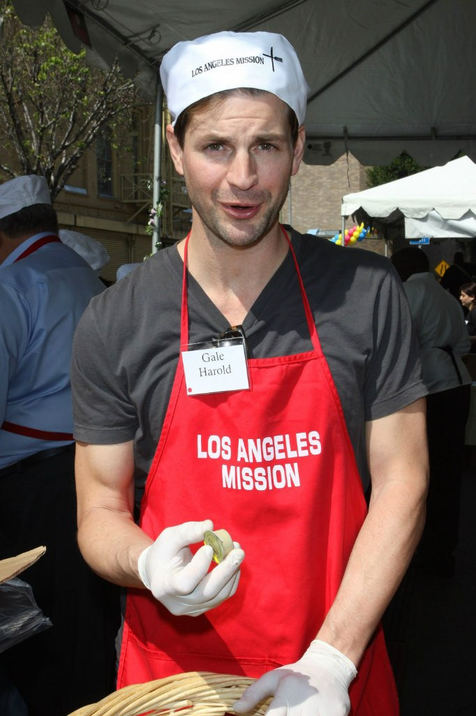 Гейл Харольд (Gale Harold)