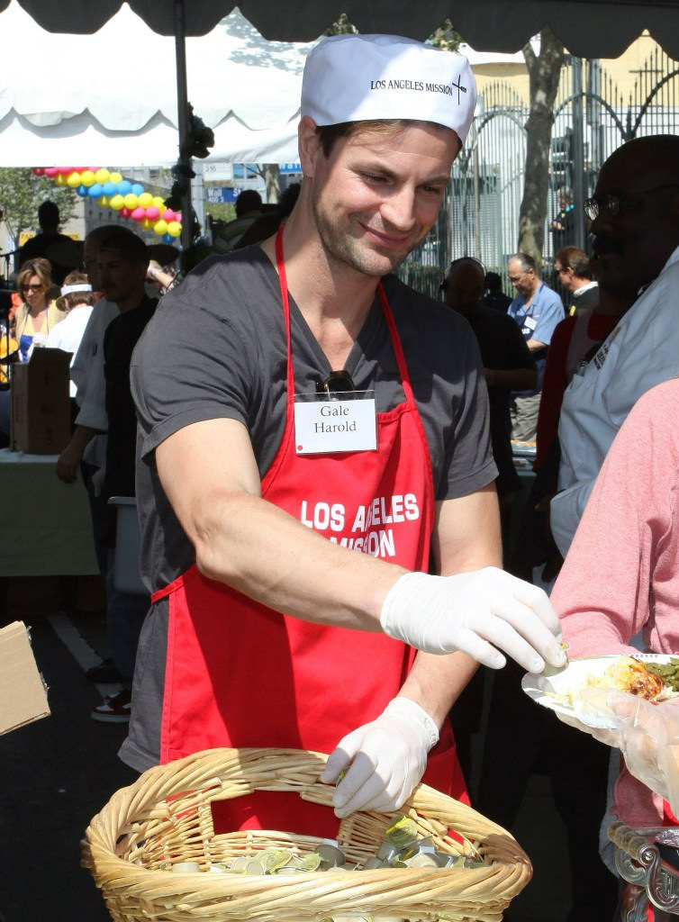 Гейл Харольд (Gale Harold)