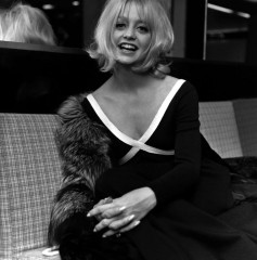 Goldie Hawn фото №428033