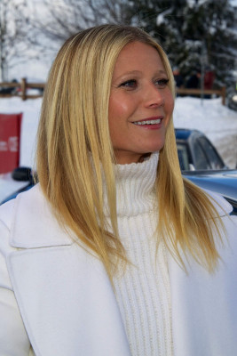 Gwyneth Paltrow фото №921110