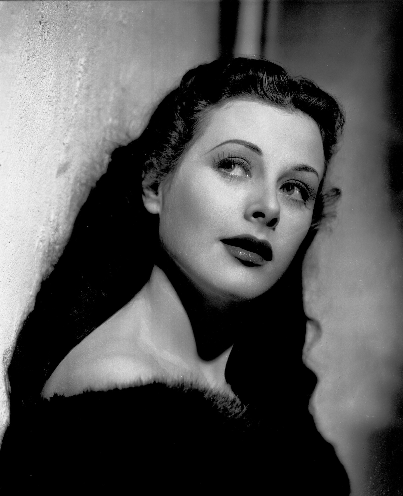 Хеди Ламар (Hedy Lamarr)