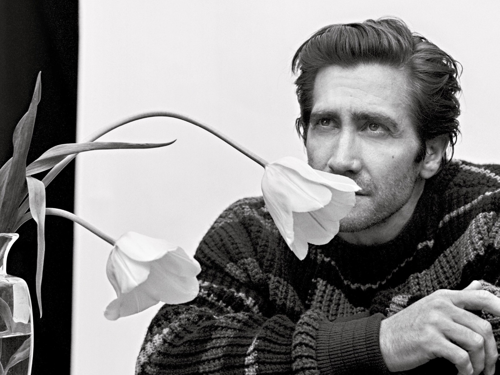 Джэйк Гилленхаал (Jake Gyllenhaal)