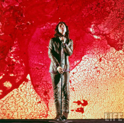 Jim Morrison фото №276768