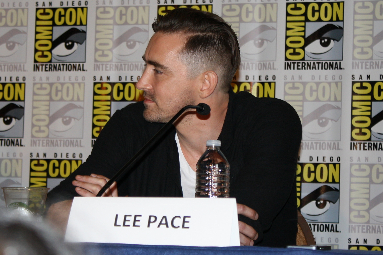 Ли Пейс (Lee Pace)