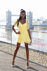 Le﻿omie Anderson Launches The New 'Incredible By ﻿Victoria's Secret' Bra Collect фото №1186316