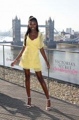 Le﻿omie Anderson Launches The New 'Incredible By ﻿Victoria's Secret' Bra Collect фото №1186315