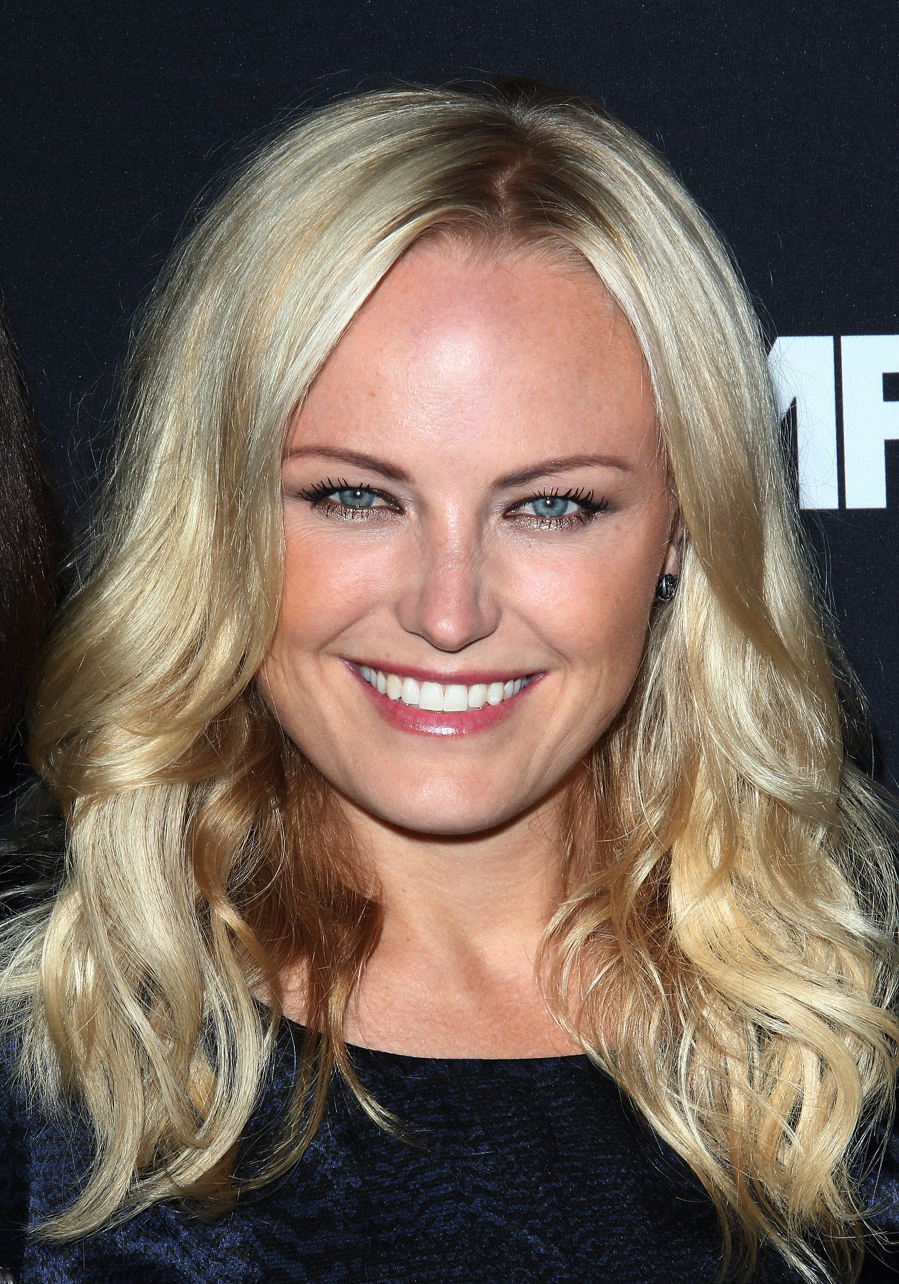 Малин Акерман (Malin Akerman)