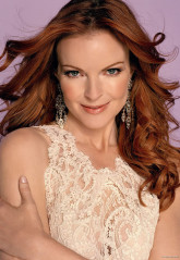 Marcia Cross фото №557665