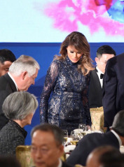 Melania Trump фото №1010121