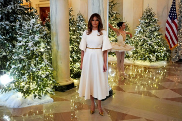 Melania Trump фото №1017866